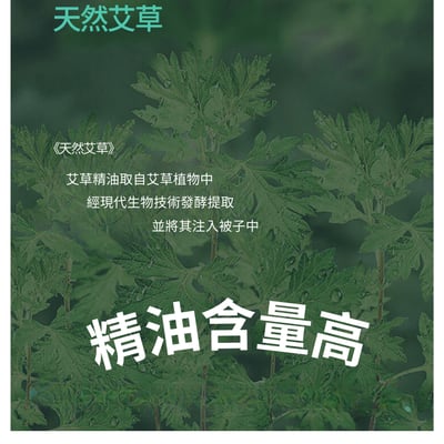 【EirEase】石墨烯艾草能量精華被4