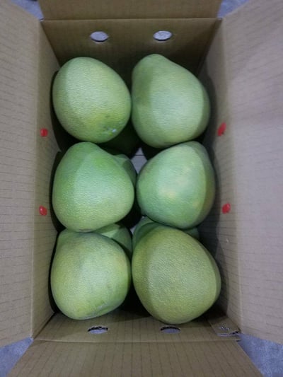 麻豆產銷班認證 在地老欉文旦 柚子 民國59年栽種（預購）1