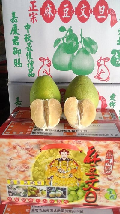 麻豆產銷班認證 在地老欉文旦 柚子 民國59年栽種（預購）4