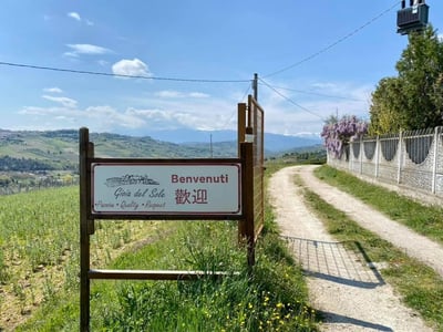 Gioia Del Sole 義大利頂級冷壓初榨橄欖油5