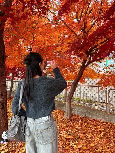 大翻領厚實短版針織衣 3colors6