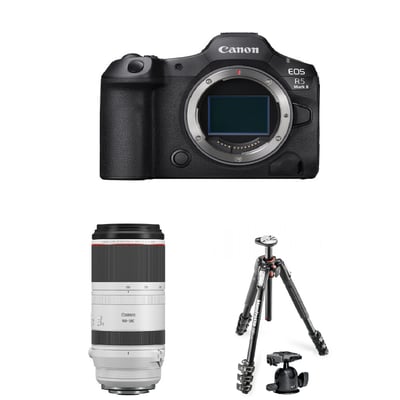 Canon R52 &RF 100-500mm & Manfrotto 球型雲台腳架1