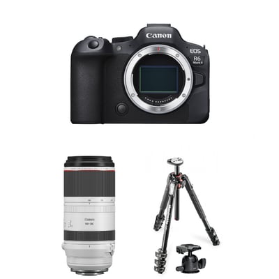 Canon R62 &RF 100-500mm & Manfrotto 球型雲台腳架1