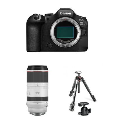 Canon R63 &RF 100-500mm & Manfrotto 球型雲台腳架1