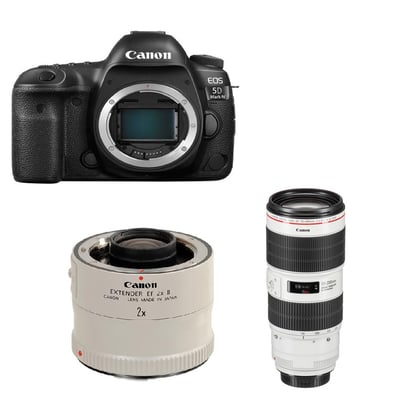 Canon 5D4 & EF 70-200mm III & EF 2X1
