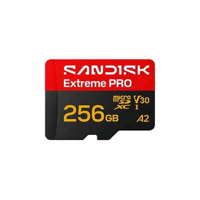 SanDisk Micro-SD 256G