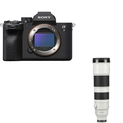 Sony A74 & FE 200-600mm1
