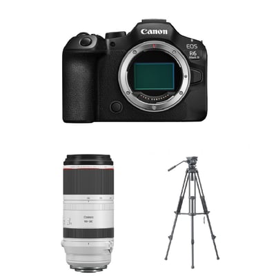 Canon R63 &RF 100-500mm & Libec 油壓雲台腳架1