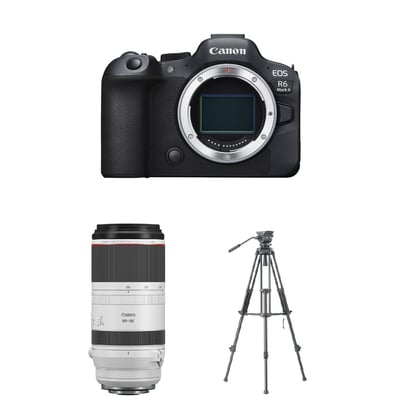 Canon R62 &RF 100-500mm & Libec 油壓雲台腳架1