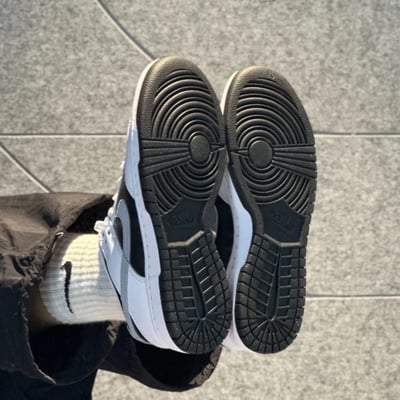 【預購】Nike Dunk Reverse Panda 2.0 反轉熊貓｜IB4620-1416