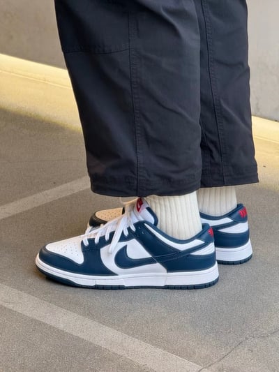 【熱銷款】NIKE DUNK LOW 藏青 海軍藍 男鞋｜DD1391-4001