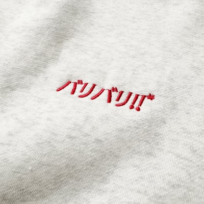 【現貨】日文零食刺繡印花大學T16