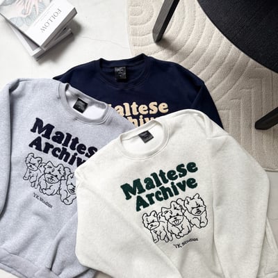 【現貨】刺繡馬爾濟斯大學T8