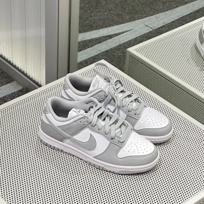 【現貨】Nike Dunk Low 灰白 ｜DD1873-113 DD1391-103 HF5441-1053