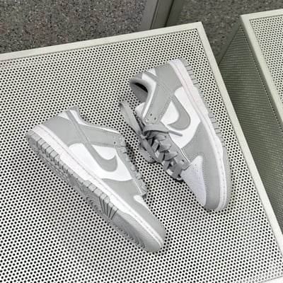 【現貨】Nike Dunk Low 灰白 ｜DD1873-113 DD1391-103 HF5441-1055