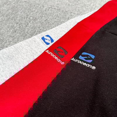 【現貨】AUROCEAN 2000 刺繡大學T9