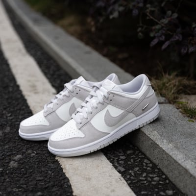 【爆款！現貨】NIKE W DUNK LOW 霧灰 灰白 小銀勾 女鞋｜IO4244-1056
