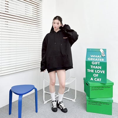 【現貨】RESTDING 恐龍塗鴉感帽T4