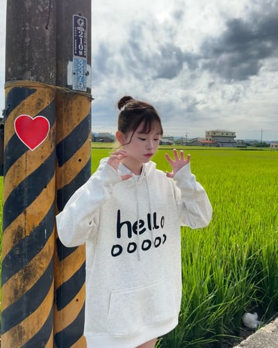 【現貨】美式helloooo印花牛奶絨帽T4