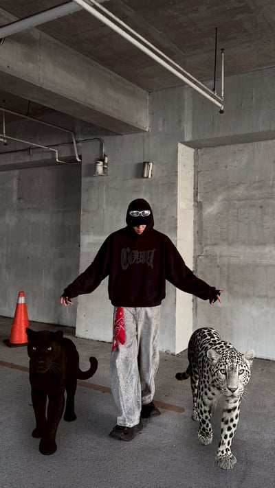 【現貨】黑暗系漂浮英文短寬BOXY帽T6