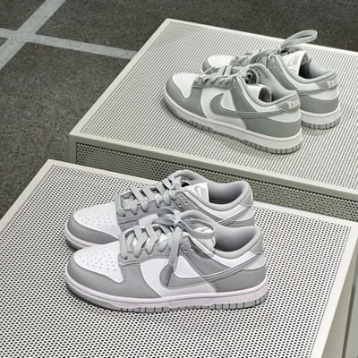 【現貨】Nike Dunk Low 灰白 ｜DD1873-113 DD1391-103 HF5441-1051