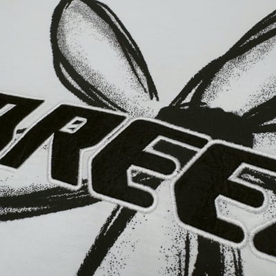 【現貨】刺繡BREEZY手袖花朵印花短T10