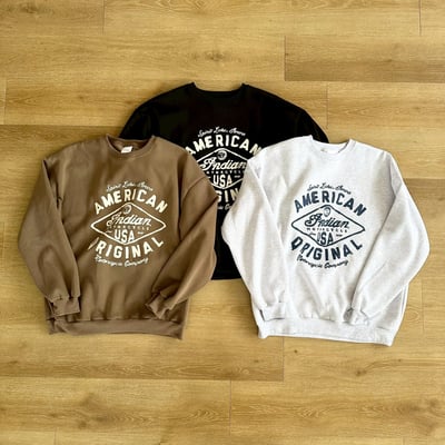 【現貨】AMERICAN 刷毛大學T10