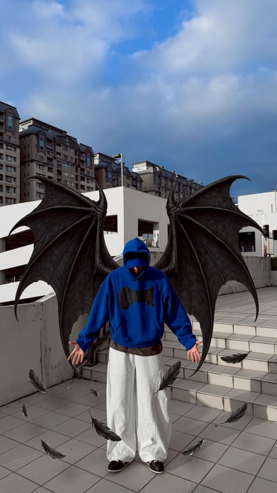 【現貨】黑暗系漂浮英文短寬BOXY帽T4