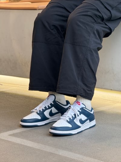 【熱銷款】NIKE DUNK LOW 藏青 海軍藍 男鞋｜DD1391-4002