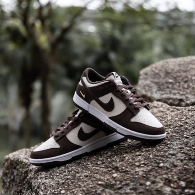 【爆款預購】NIKE W DUNK LOW 巴洛克棕 咖啡 小金勾 女鞋｜IO4244-1024