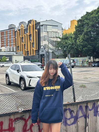 【現貨】stagreell英文字體刷毛帽T7