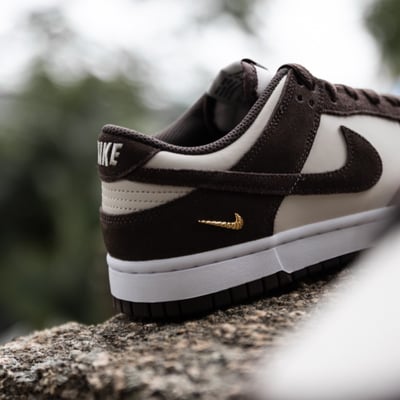 【爆款預購】NIKE W DUNK LOW 巴洛克棕 咖啡 小金勾 女鞋｜IO4244-1028