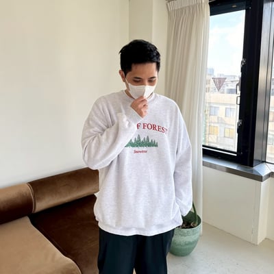 【現貨】城市森林刷毛大學T8