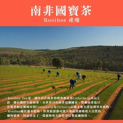 南非國寶茶2