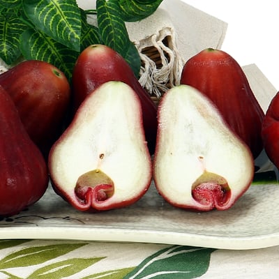 黑糖芭比蓮霧｜色澤深紅・清脆多汁・冷藏配送5