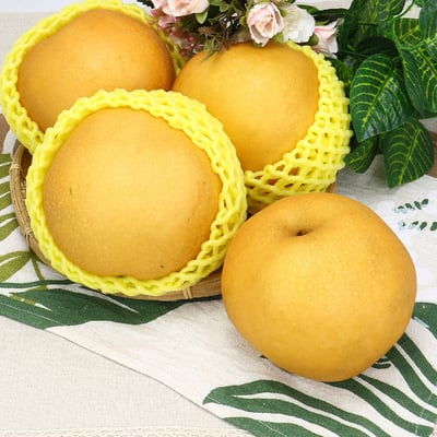 梨山雪梨｜高山栽培・清甜多汁・常溫配送4