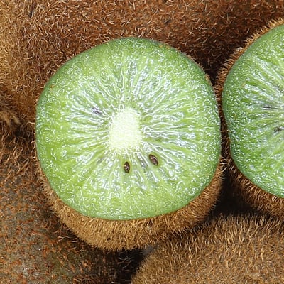 台灣高山綠色奇異果｜酸甜清爽・營養豐富・冷藏配送7