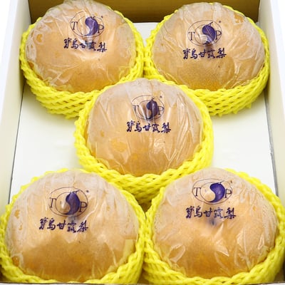 寶島甘露梨｜清甜爽脆・多汁低酸・冷藏配送6