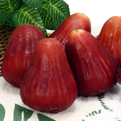 黑糖芭比蓮霧｜色澤深紅・清脆多汁・冷藏配送2