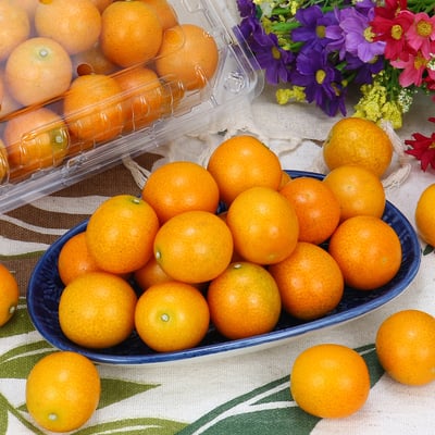 日本金桔｜皮香多汁・甜味溫和・冷藏配送(松柏嶺產區)3