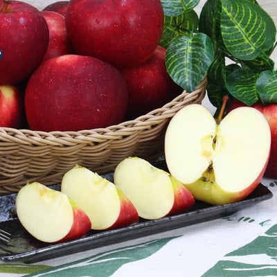 紐西蘭 Dazzle 閃耀蘋果-PG級(炫光蘋果)｜脆甜多汁・冷藏配送6