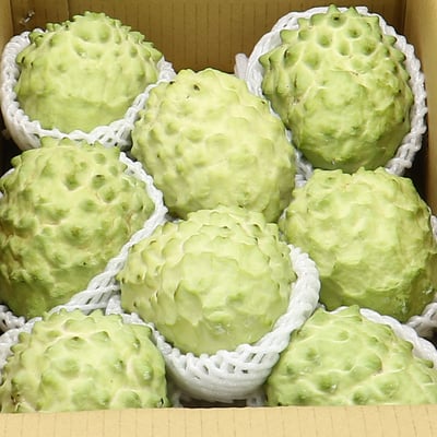 鳳梨釋迦｜果型飽滿・清爽不膩口・常溫配送1