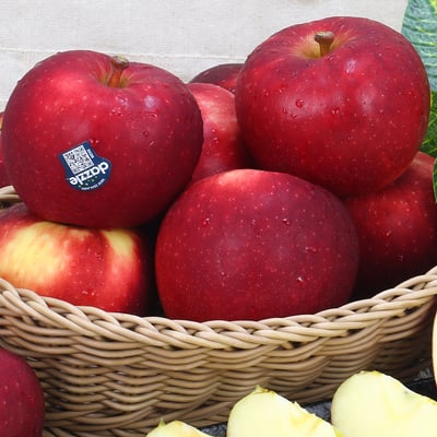 紐西蘭 Dazzle 閃耀蘋果-PG級(炫光蘋果)｜脆甜多汁・冷藏配送5