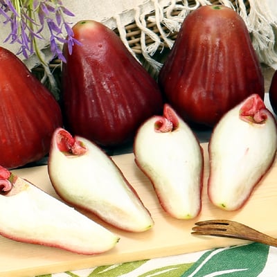 黑糖芭比蓮霧｜色澤深紅・清脆多汁・冷藏配送4