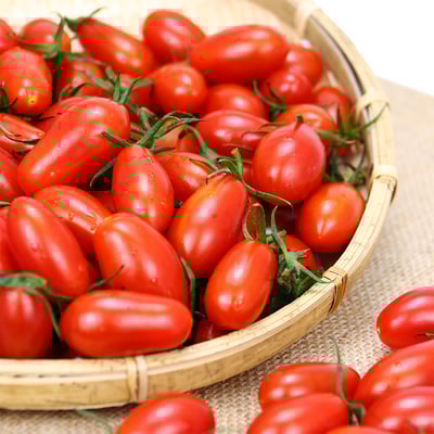 玉女小番茄｜皮薄多汁・香甜可口・常溫配送3