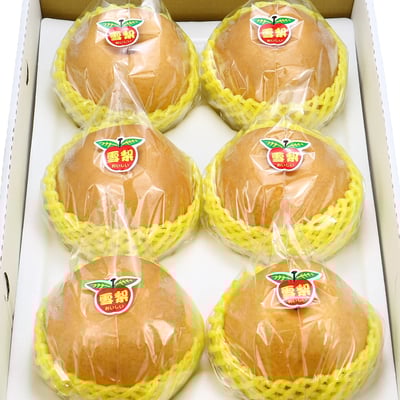 梨山雪梨｜高山栽培・清甜多汁・常溫配送1