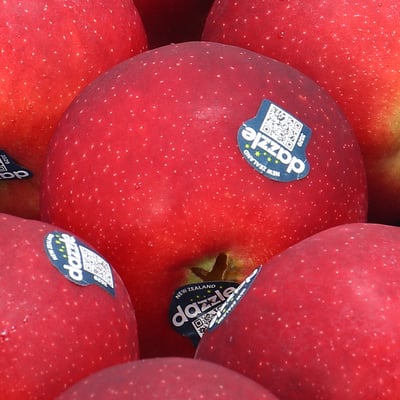 紐西蘭 Dazzle 閃耀蘋果-PG級(炫光蘋果)｜脆甜多汁・冷藏配送4