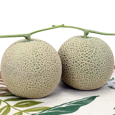 阿露斯哈密瓜｜網紋均勻・果肉香甜・常溫配送2