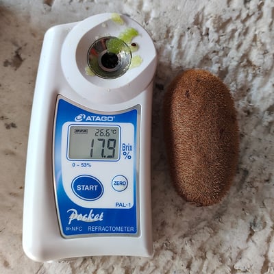 台灣高山綠色奇異果｜酸甜清爽・營養豐富・冷藏配送11