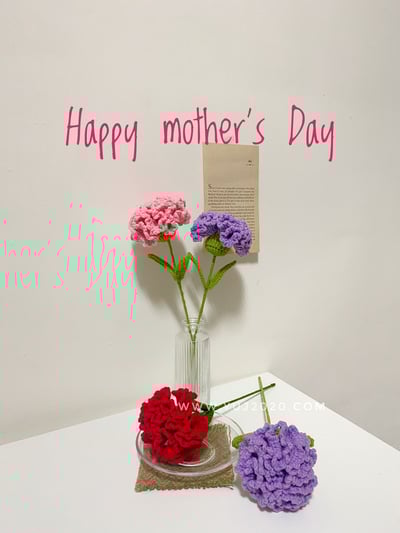 【材料包】康乃馨3